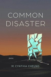 bokomslag Common Disaster