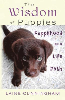 bokomslag Wisdom of Puppies