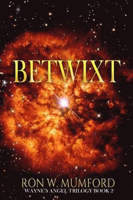 bokomslag Betwixt