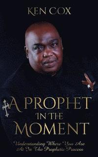 bokomslag Prophet In The Moment