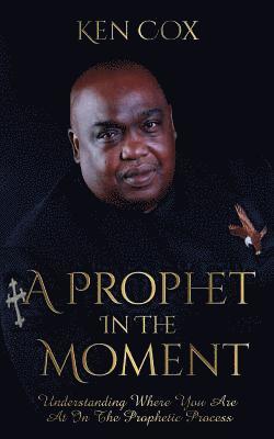 bokomslag Prophet In The Moment