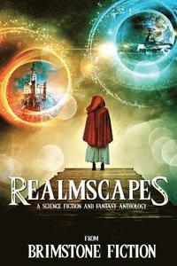 bokomslag Realmscapes