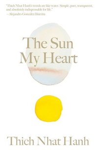 bokomslag The Sun My Heart