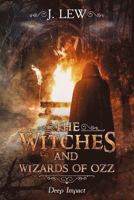 J Lew, J. Lew - Witches and Wizards of Ozz, Häftad