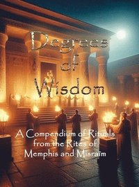 bokomslag Degrees of Wisdom