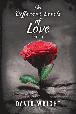 bokomslag The Different Levels of Love, Volume 1