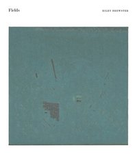 bokomslag Fields: Paintings and Drawings