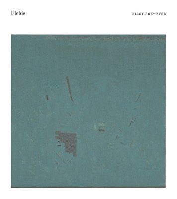 bokomslag Fields: Paintings and Drawings