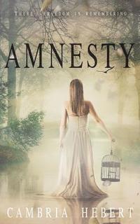 bokomslag Amnesty
