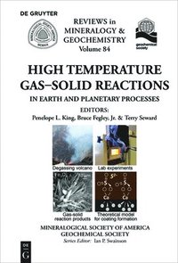 bokomslag High Temperature Gas-Solid Reactions in Earth and Planetary Processes