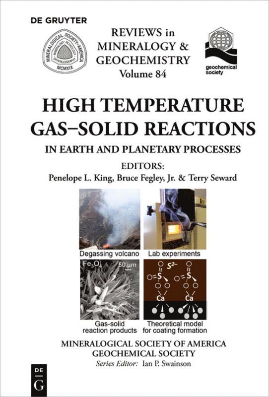 Penelope King, Bruce Fegley, Terry Seward - High Temperature Gas-Solid Reactions in Earth and Planetary Processes, Häftad