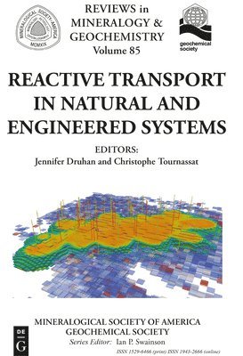 bokomslag Reactive Transport in Natural and Engineered Systems