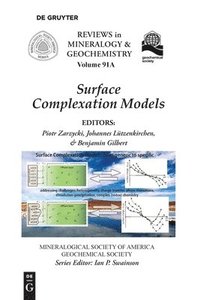 bokomslag Surface Complexation Models