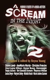 bokomslag A Scream in the Night 2