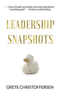 bokomslag Leadership Snapshots