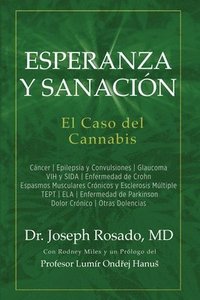 bokomslag Esperanza y Sanacion