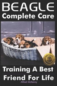 bokomslag Beagle Complete Care: Training a Best Friend for Life