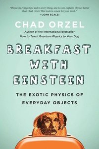 bokomslag Breakfast with Einstein: The Exotic Physics of Everyday Objects
