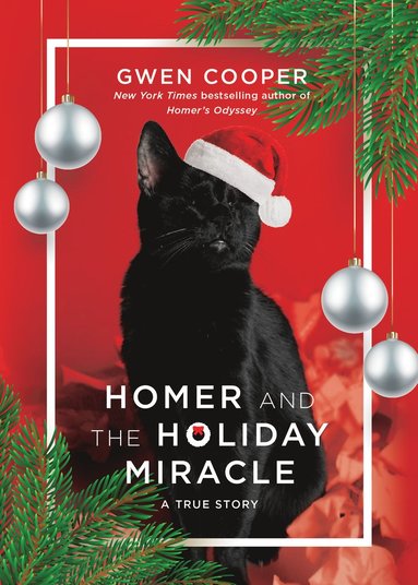 bokomslag Homer and the Holiday Miracle