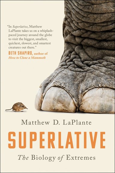 Matthew D. LaPlante - Superlative, Inbunden