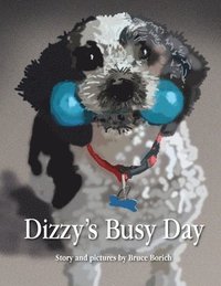 bokomslag Dizzy's Busy Day