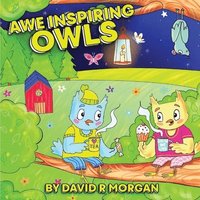 bokomslag Awe Inspiring Owls