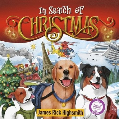 bokomslag In Search of Christmas