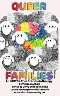 bokomslag Queer Families