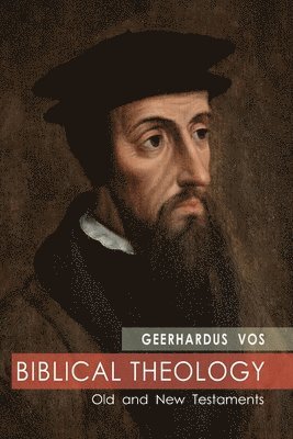 bokomslag Biblical Theology