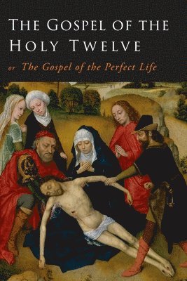 bokomslag Gospel of the Holy Twelve