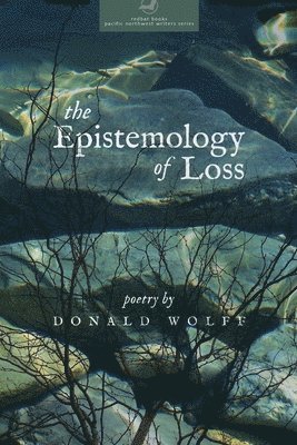 bokomslag The Epistemology of Loss