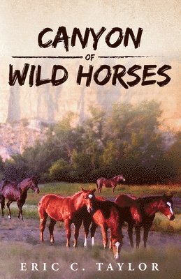 Canyon of Wild Horses 1