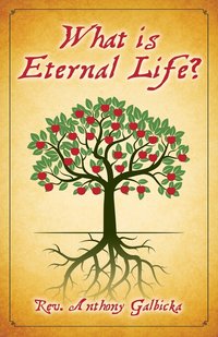 bokomslag What Is Eternal Life?