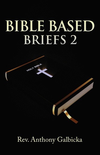 bokomslag Bible Based Briefs 2