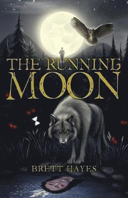 bokomslag The Running Moon