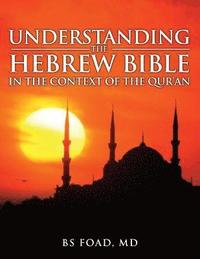 bokomslag Understanding the Hebrew Bible