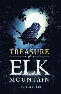 bokomslag Treasure of Elk Mountain