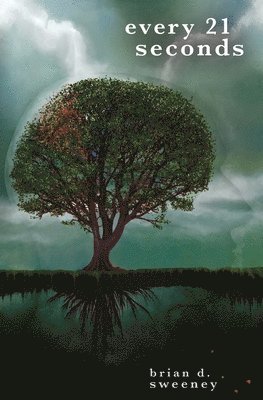 Brian Sweeney, Brian, Sweeney - Every 21 Seconds, Häftad