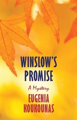 bokomslag Winslow's Promise