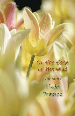 Linda Principe - On the Edge of the Wind, Häftad. Tillgänglighet: Lägg i varukorg