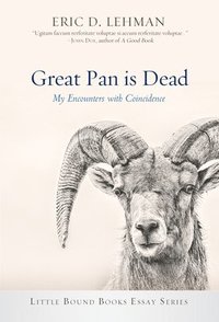 bokomslag Great Pan is Dead