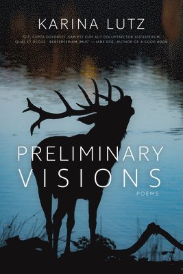 bokomslag Preliminary Visions