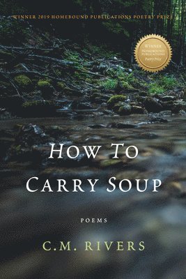 bokomslag How to Carry Soup