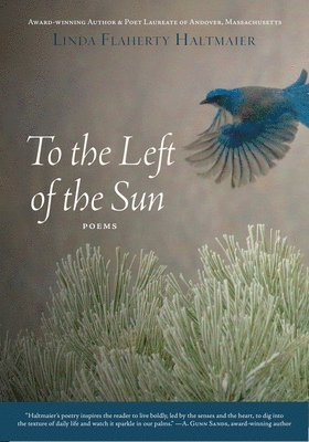 To the Left of the Sun 1