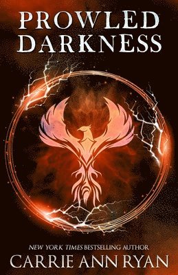 bokomslag Prowled Darkness