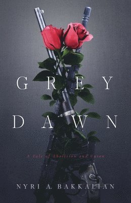 bokomslag Grey Dawn