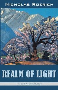 bokomslag Realm of Light