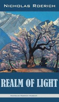 bokomslag Realm of Light