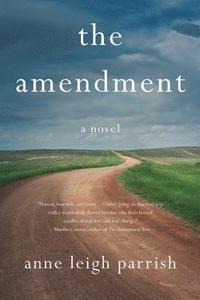 bokomslag The Amendment
