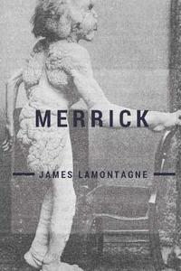 bokomslag Merrick